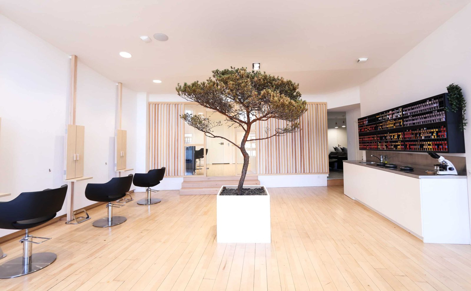 Intérieur du salon de coiffure Mylaa Evans à Clermont-Ferrand, avec des fauteuils confortables et une décoration moderne et chaleureuse